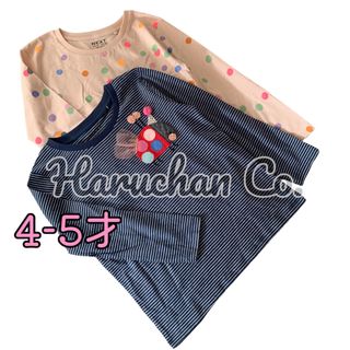 ネクスト(NEXT)の●未使用●4-5才　てんとう虫　ドット柄　ロンT セット(Tシャツ/カットソー)