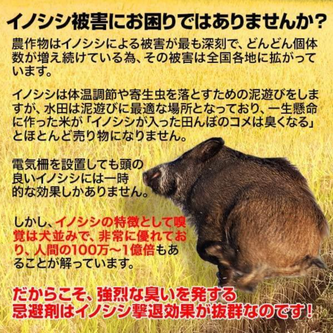 イノシシなぜ逃げるニュー改訂版20枚セット(青のみ) 臭い効果が大きくアップ！の通販 by alphabet online shop｜ラクマ