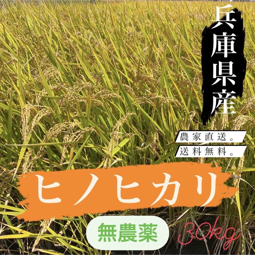 【大特価】ひのひかり ヒノヒカリ 新米 玄米 無農薬 30kg新米