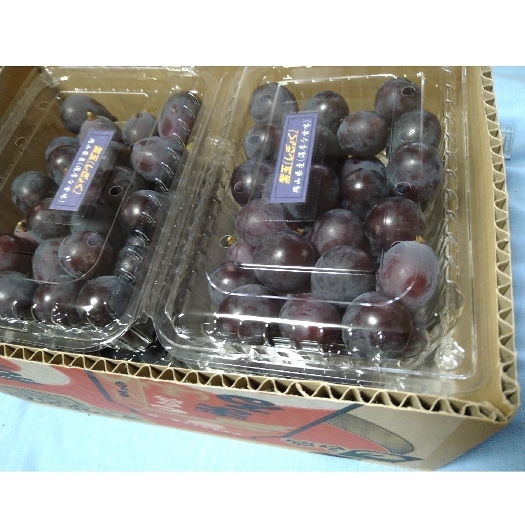 専用　紫玉2.4k　１箱（４個パック入） 食品/飲料/酒の食品(フルーツ)の商品写真