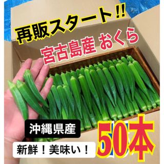 【50本】宮古島産　おくら　オクラ(野菜)