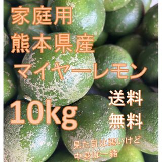 大特価数量限定 家庭用マイヤーレモン 10kg 送料無料(フルーツ)