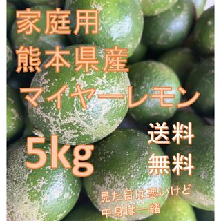 大特価数量限定 家庭用マイヤーレモン 10kg 送料無料(フルーツ)