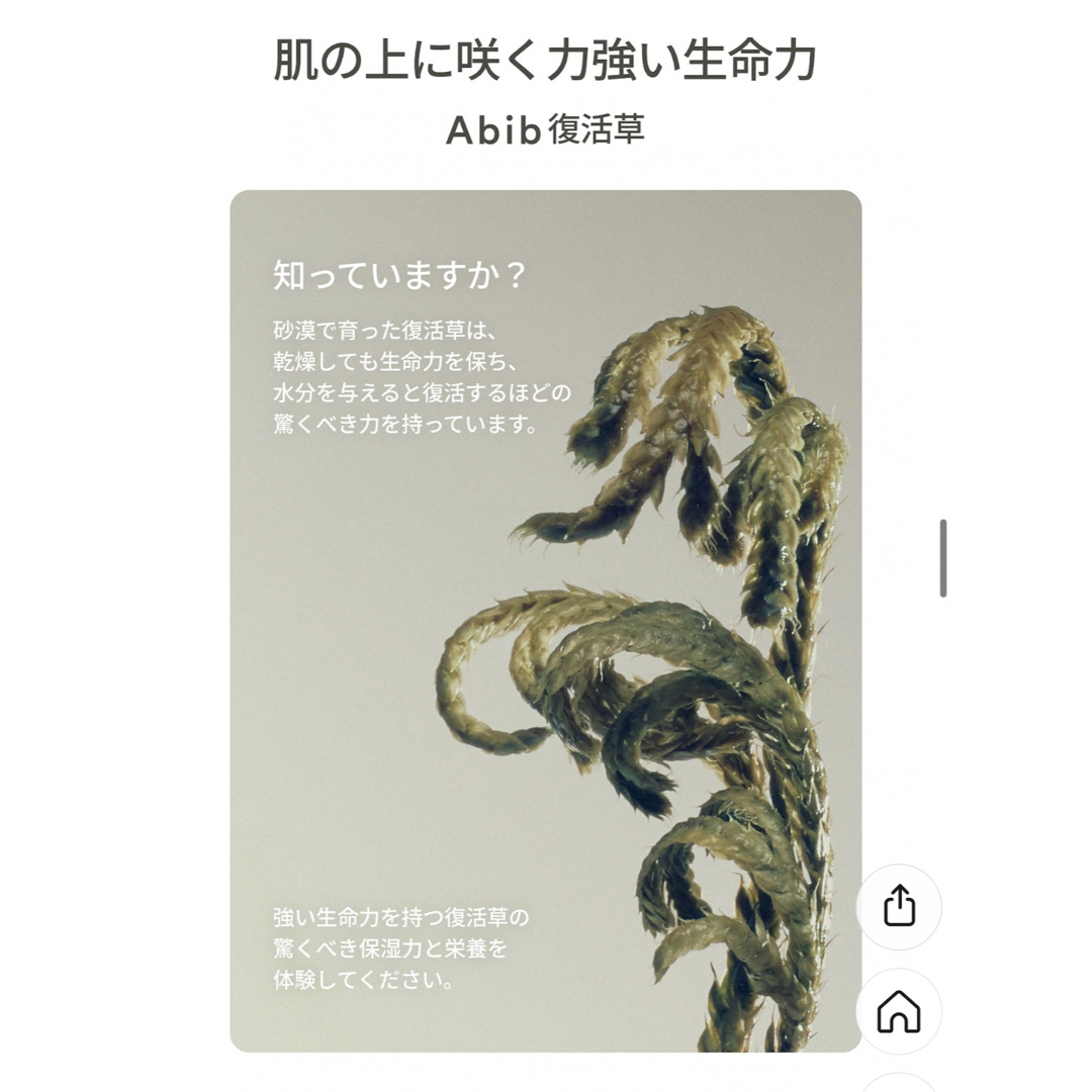 我的美麗日記([私のきれい日記)(ワタシノキレイニッキ)のAbib 復活草クリーム コスメ/美容のスキンケア/基礎化粧品(フェイスクリーム)の商品写真