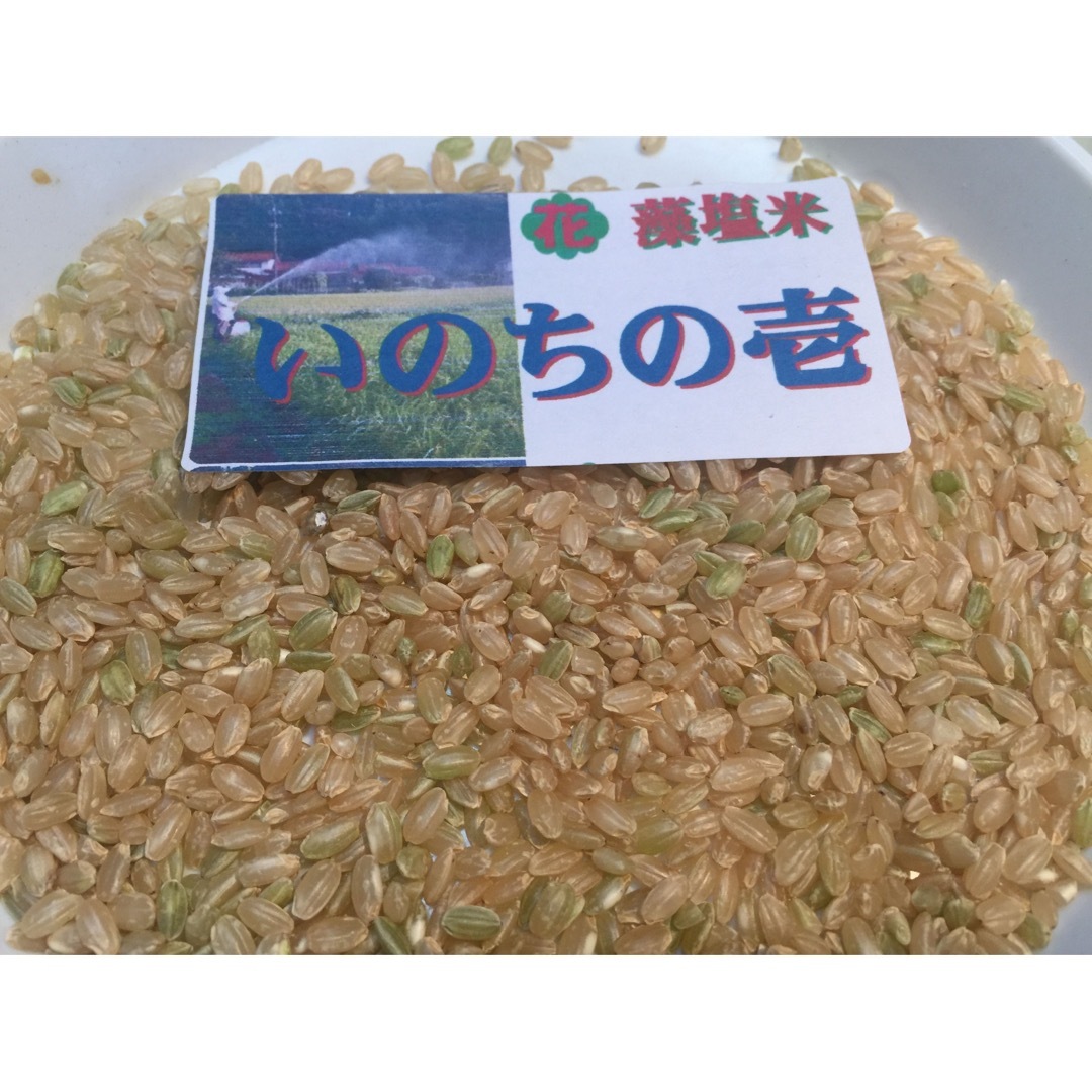 新米　????　令和５年産　いのちの壱　玄米10キロ　精米無料 3