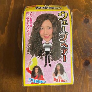 男女兼用 ウェーブヘアー ウイッグ　カツラ(ロングカール)