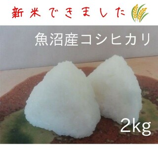 新米 お米2kg 令和5年魚沼産コシヒカリ白米(米/穀物)
