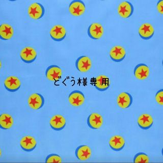 ☆どぐう様専用☆(その他)