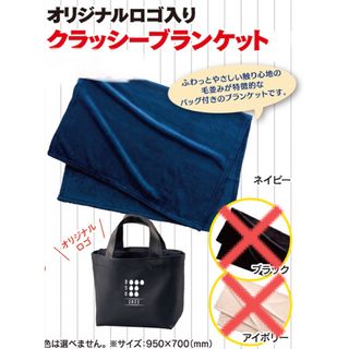 チバロッテマリーンズ(千葉ロッテマリーンズ)の千葉ロッテマリーンズ バッグ付き ブランケット非売品 応援たまご 当選品 ロゴ(応援グッズ)