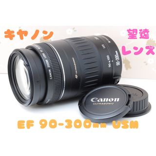 パナソニック LUMIX G VARIO 14-140㎜ シルバーの通販|ラクマ