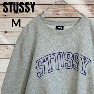 STUSSY - 【希少デザイン】ステューシー センター 縁取り 刺繍