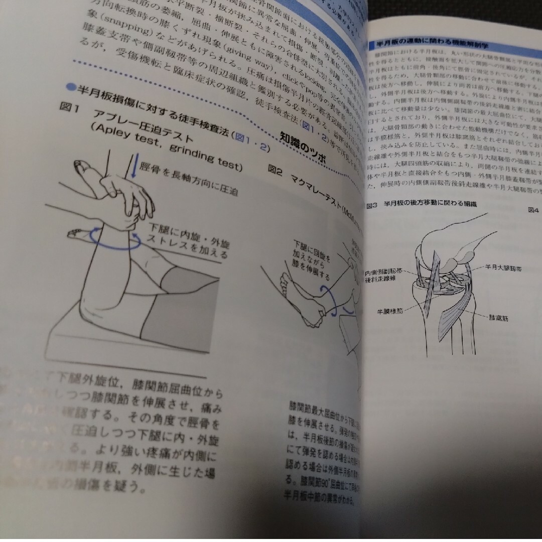 整形外科ナビゲーション上肢下肢2冊セット 送料無料即配送 理学療法士作業療法士必 整形外科ナビゲーション上肢下肢2冊セット 送料無料即配送 理学療法士作業療法士必