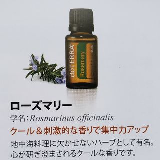 ドテラ(doTERRA)のドテラ　アロマオイル(その他)