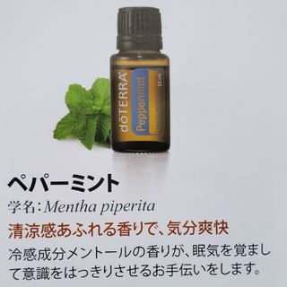 ドテラ(doTERRA)のドテラ　アロマオイル(その他)