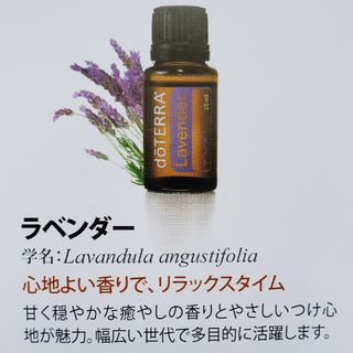 ドテラ(doTERRA)のドテラ　アロマオイル(アロマオイル)