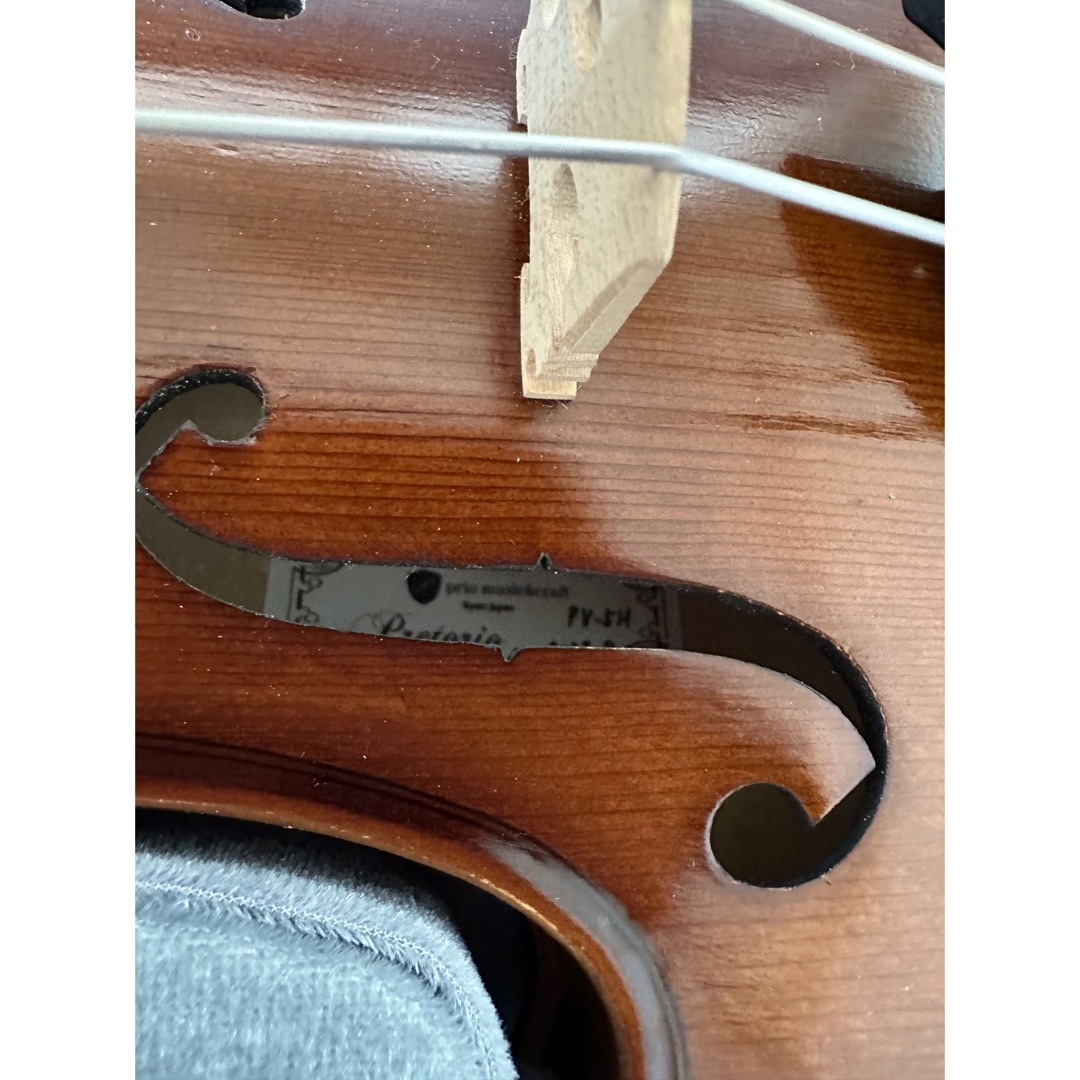 五弦　ヴァイオリン 楽器の弦楽器(ヴァイオリン)の商品写真