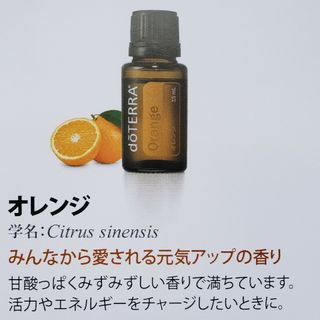 ドテラ(doTERRA)のドテラ　アロマオイル(エッセンシャルオイル（精油）)