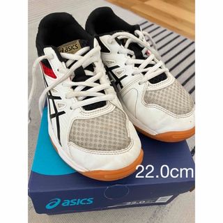 アシックス(asics)のアシックス　バレーボールシューズ　22.0(バレーボール)