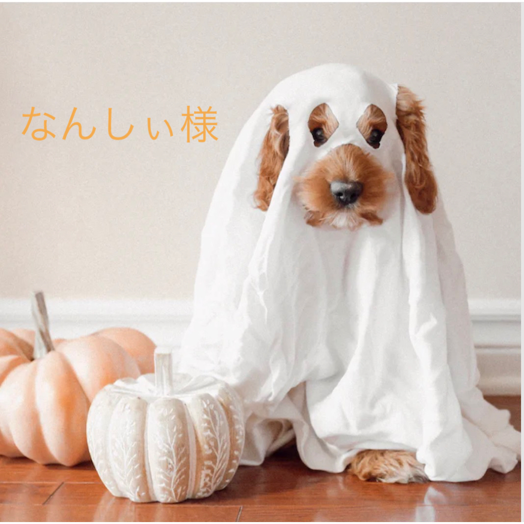 なんしぃ様専用ページ | フリマアプリ ラクマ