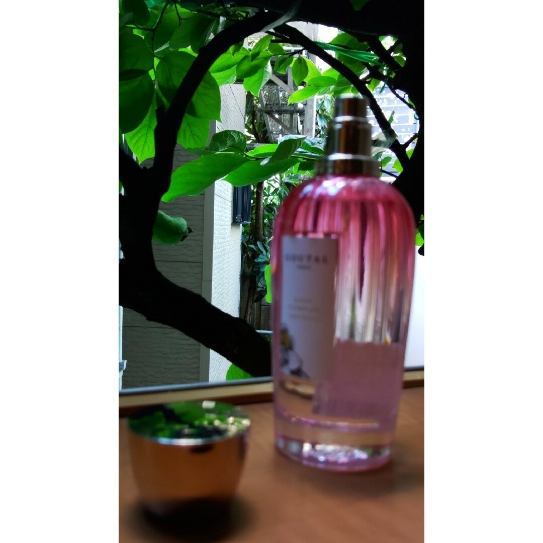 Annick Goutal(アニックグタール)の❤️アニックグタールローズポンポンEDT100ml/未使用♪2022/♡箱なし。 コスメ/美容の香水(香水(女性用))の商品写真