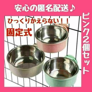 ピ２個　猫　餌入れ　皿 犬 小動物 フードボール 食器 ゲージウォーター 水固定(猫)