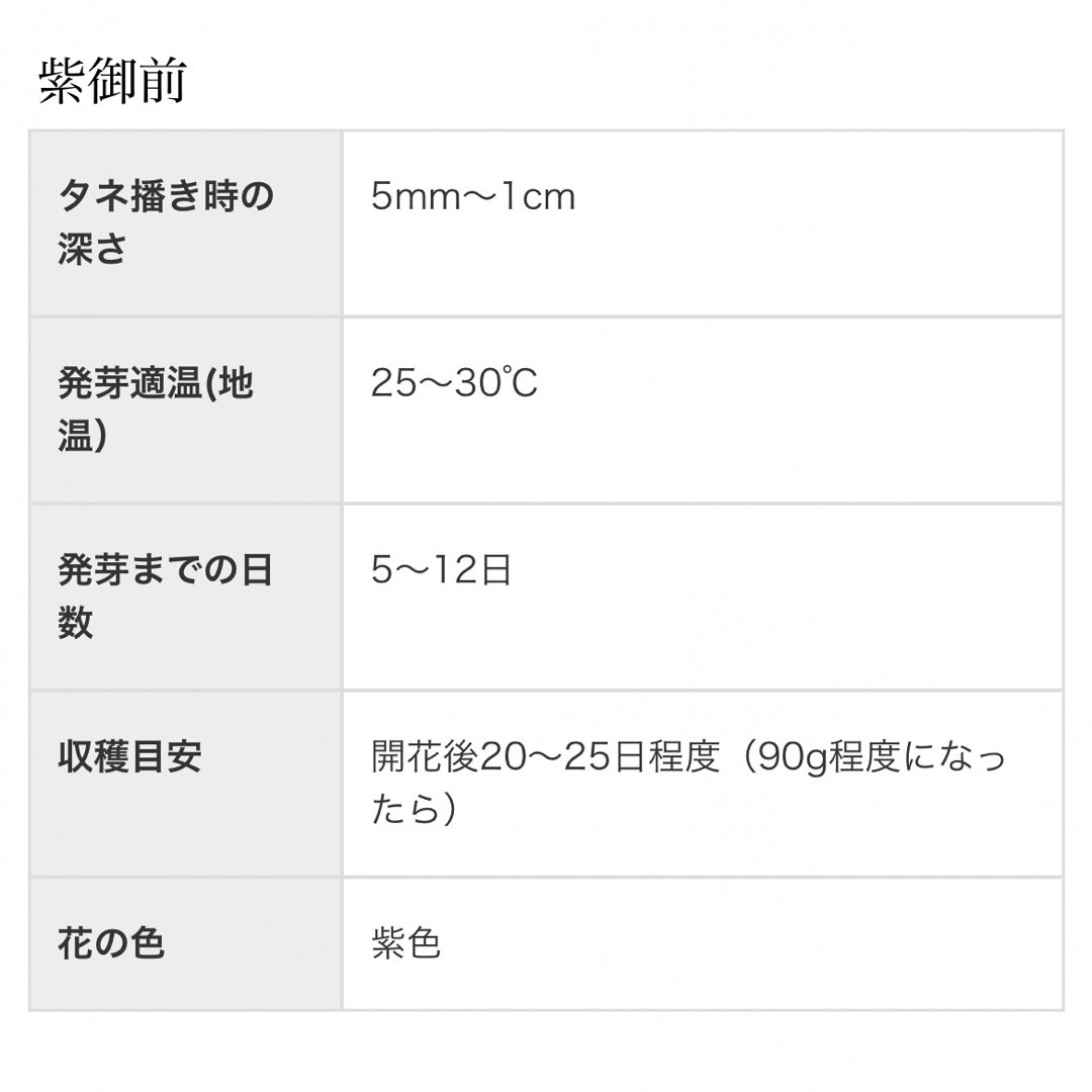 【 紫御前 】 国内育成・採取 家庭菜園 種 タネ 茄子 ナス 野菜 食品/飲料/酒の食品(野菜)の商品写真