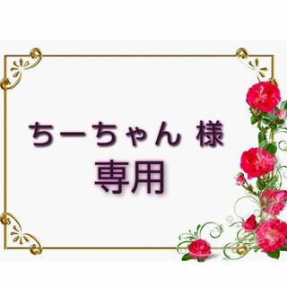 ちーちゃん様 専用 便利なスープ100食セット(その他)