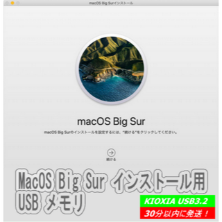 アップル(Apple)のMacOS 11.0 Big Sur インストールUSB3.2 メモリー(その他)