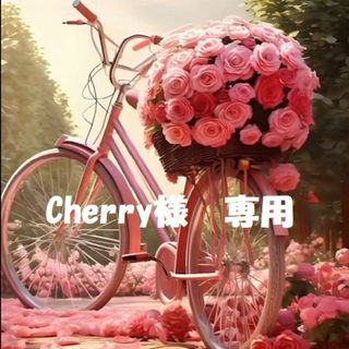 【Cherry様　専用】(チュニック)