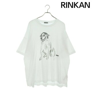 ディオール(Dior)のディオール  383J677A0817 フロントプリントTシャツ メンズ XXL(Tシャツ/カットソー(半袖/袖なし))