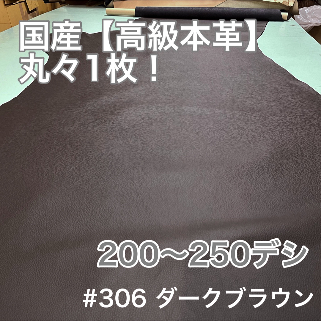 一旦停止　オマケ付　クリスマスローズ抜き苗5本フラワー/ガーデン