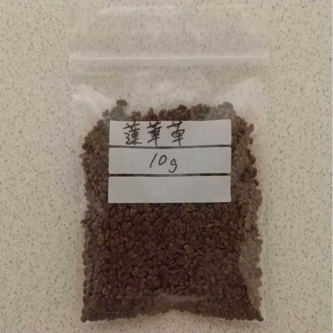 【蓮華草のタネ】10g 種子 種 れんげ草 レンゲ草 レンゲソウ 花 ハンドメイドのフラワー/ガーデン(その他)の商品写真