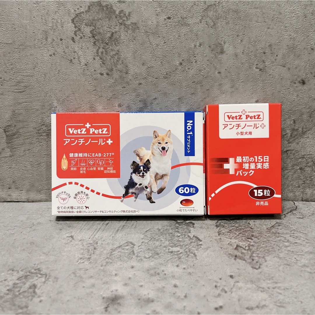 アンチノールプラス 犬90粒 2箱 賞味期限→2026年2月-
