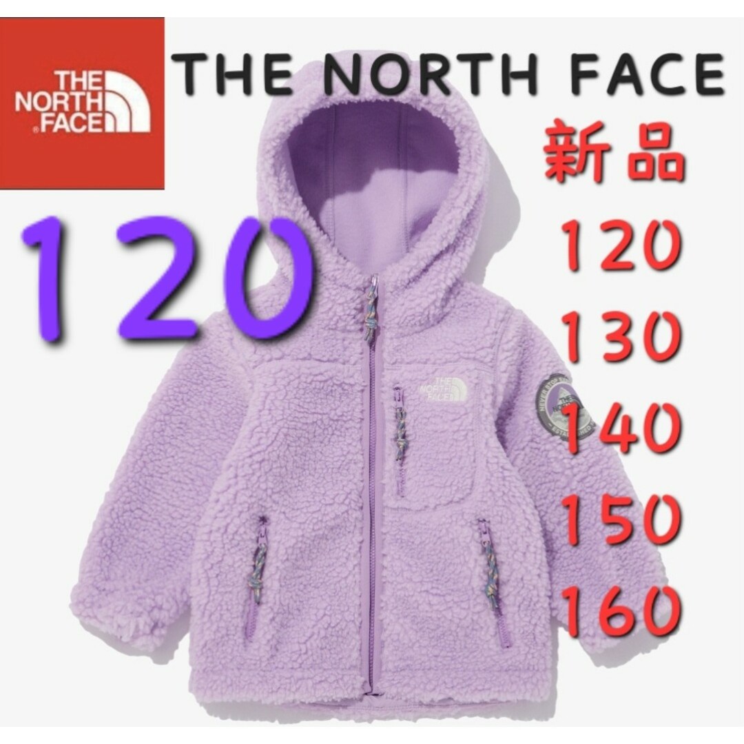 THE NORTH FACE - ボア NORTH FACE ノースフェイス 新品 フリース ...