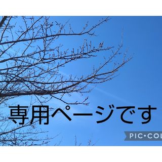 ヒタチ(日立)のcocoa様専用☆日立(その他)