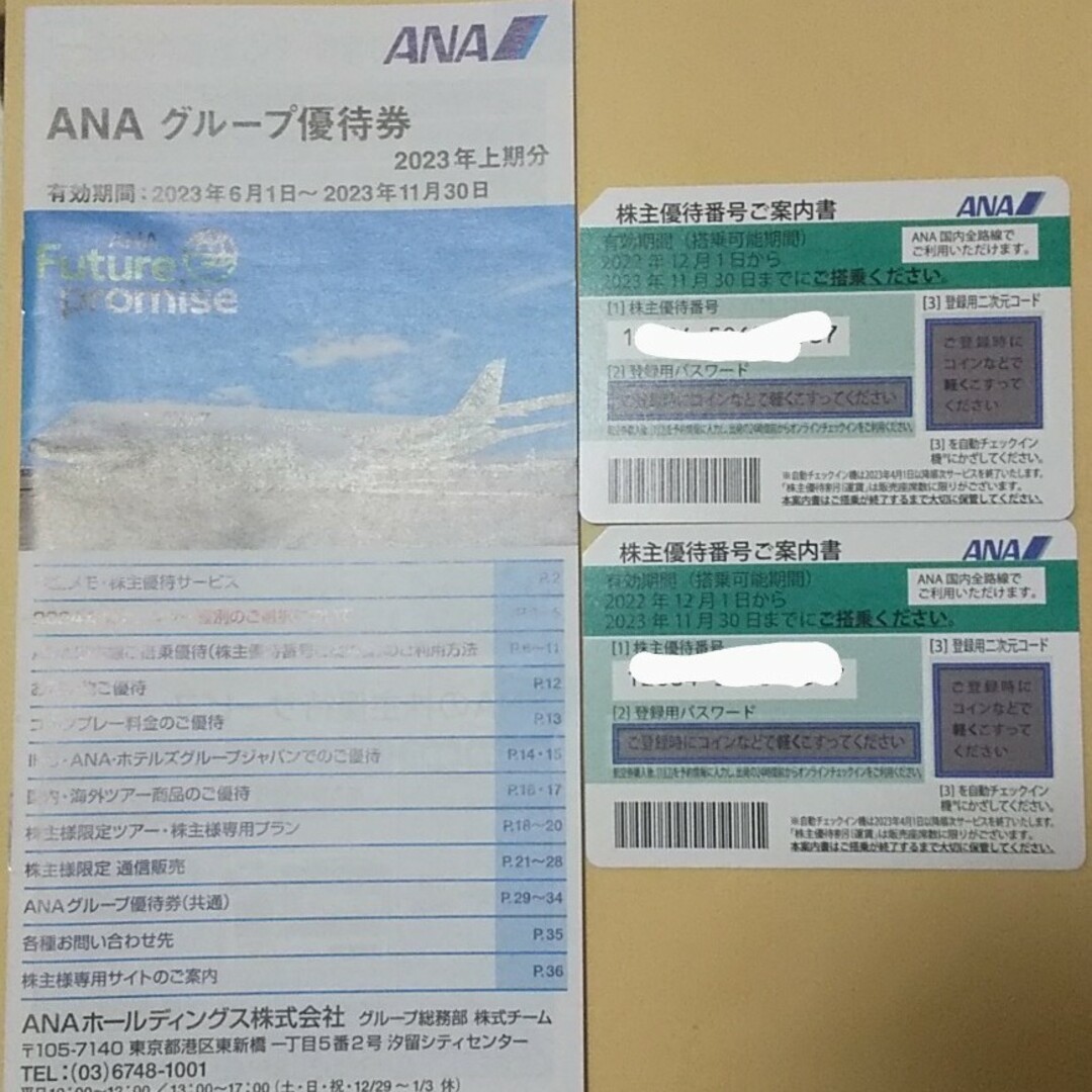 ANA  全日空　株主優待 チケット　2枚