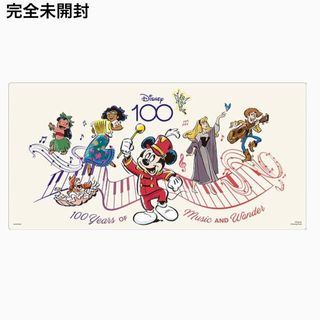 Disney   希少ディズニー ロルカナ マレフィセント プレイマットの