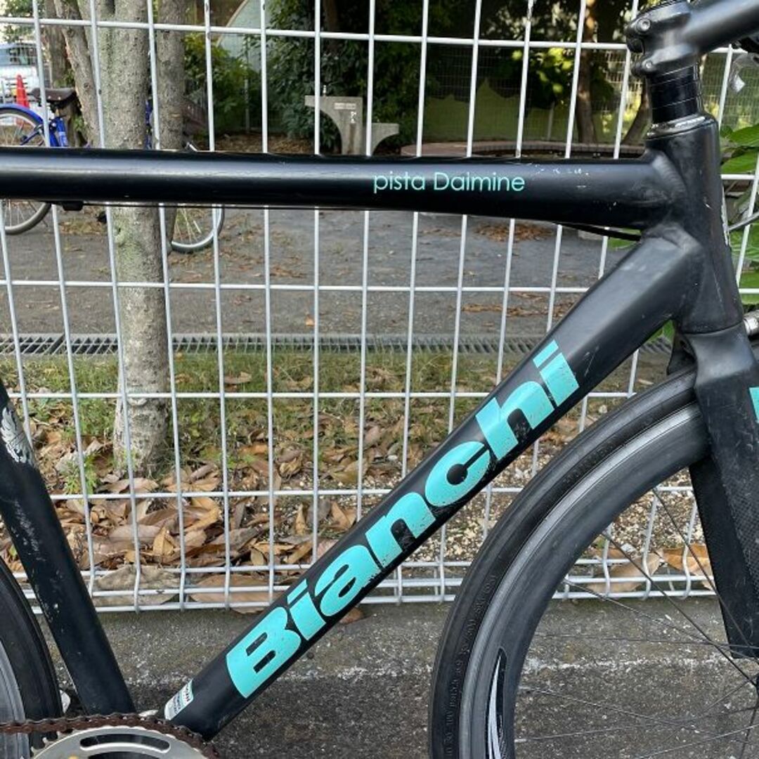 Bianchi ピストバイク pista Dalmine/55サイズ-