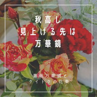 薔薇万華鏡とケイトウの花束■お花のメール便■880円(その他)