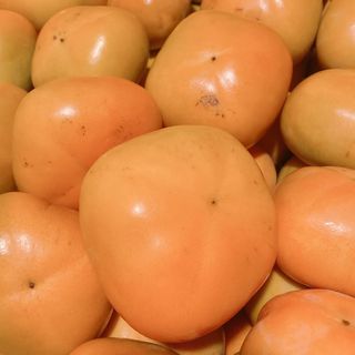 日本一の和歌山県九度山町産 たねなし柿 3L以上 ドライフルーツ付