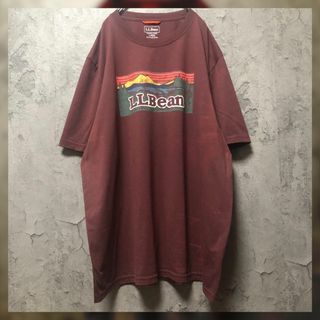 L.L.Bean エルエルビーン ビンテージ Tシャツ カットソー