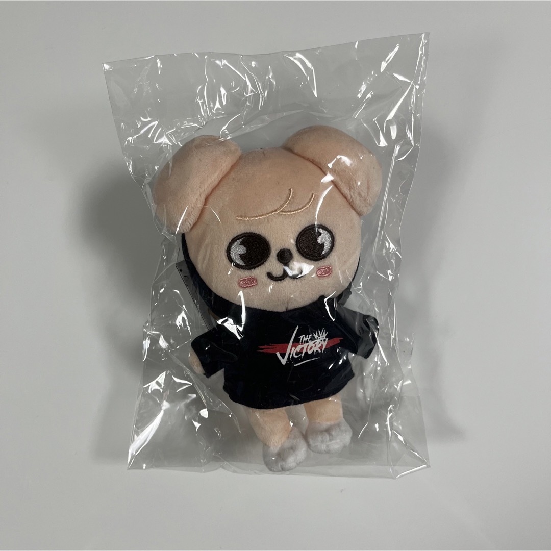 skzoo puppyM  スンミン　ぬいぐるみ　ミニ　plush mini