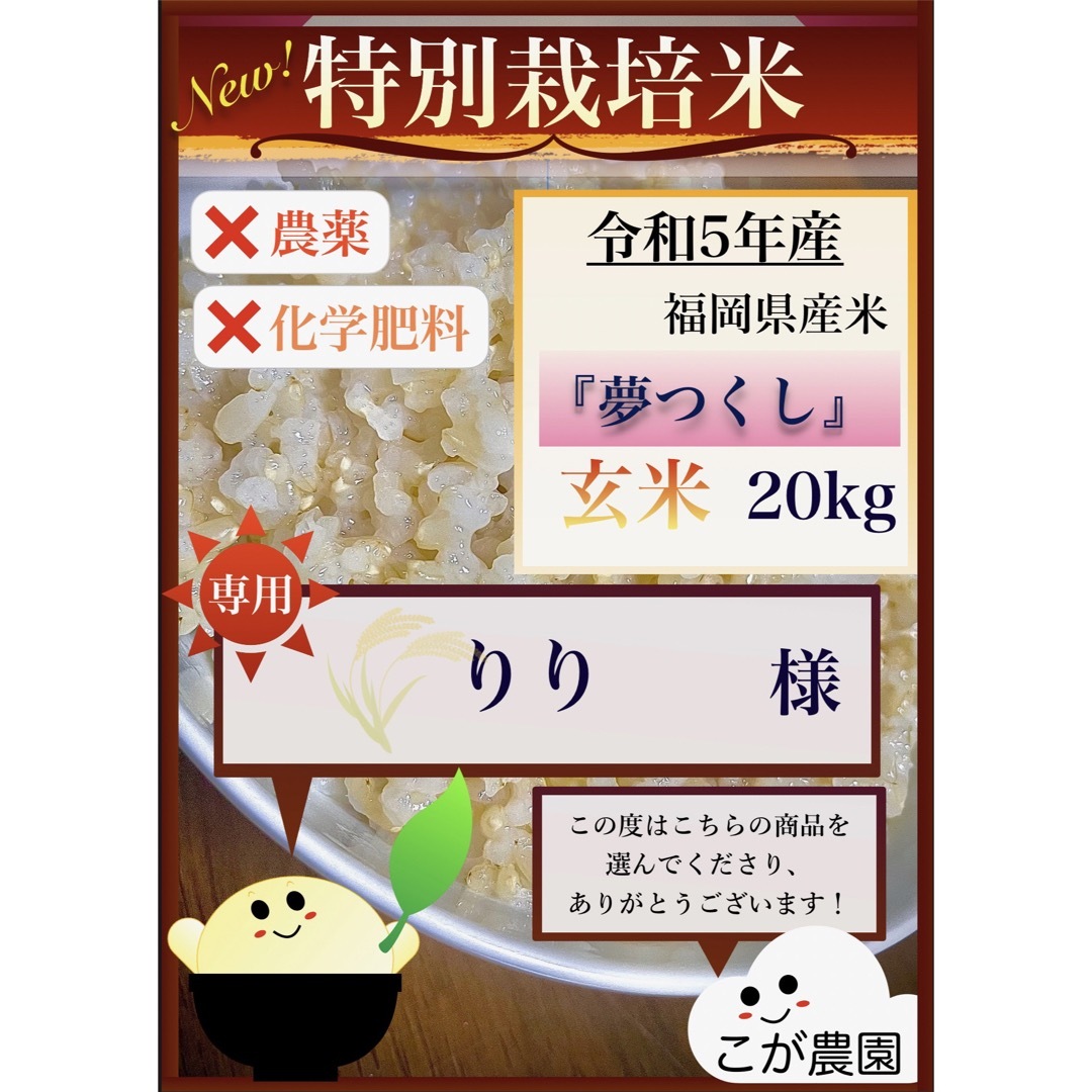 りり様専用　準自然米　福岡県産「夢つくし」令和５年産　玄米20kgのサムネイル