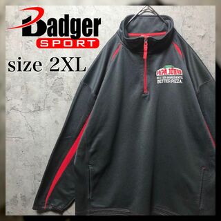 バジャー(Badger)の【Badger】2XL ハーフジップ バイカラー トレーナー 企業刺繍 US古着(スウェット)