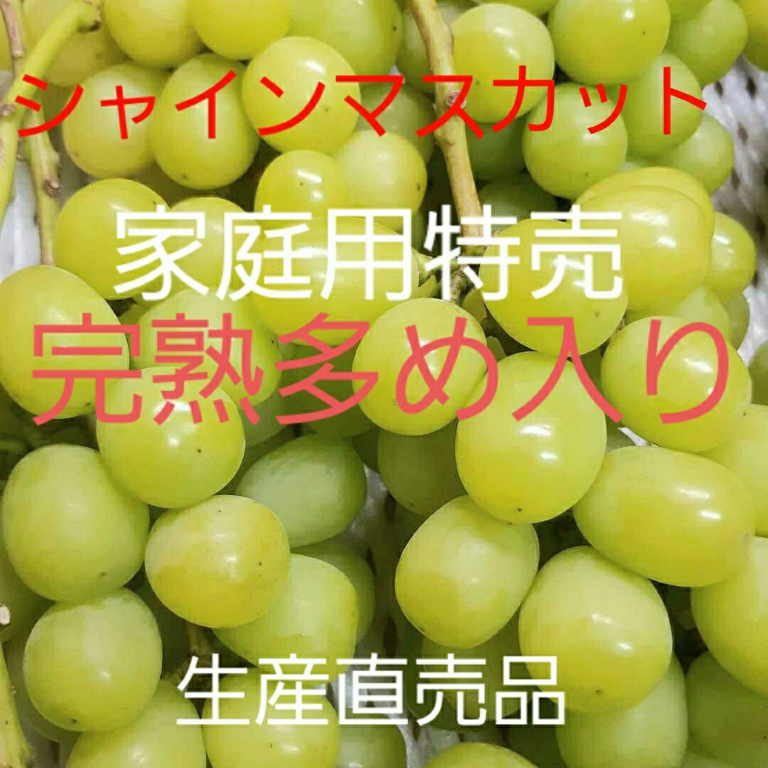 シャインマスカット完熟多めの、家庭用訳有り品になります。5キロ入り