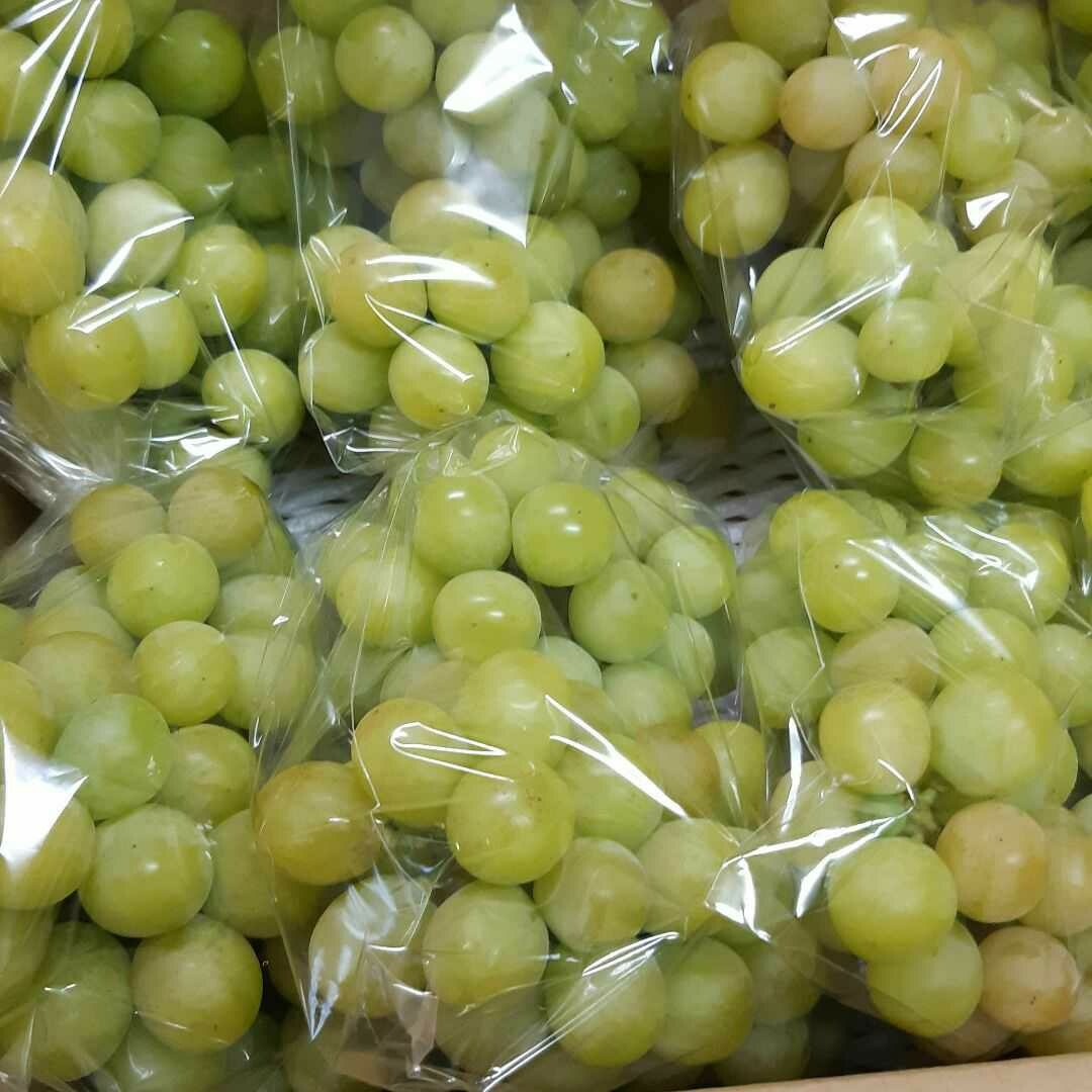 シャインマスカット家庭用訳有り品の完熟多め入りになります。お徳用5キロ入り