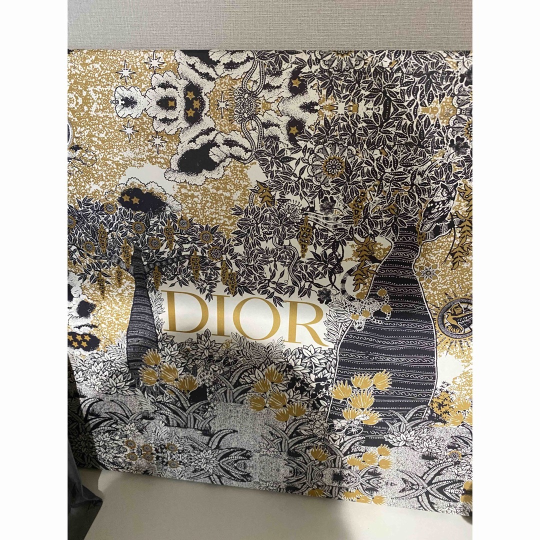 Dior(ディオール)のDior ブックトート レディースのバッグ(トートバッグ)の商品写真