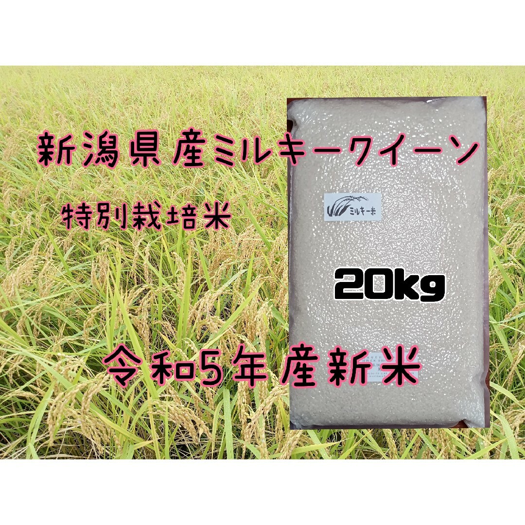 特別栽培米新潟県産ミルキークイーン20k-