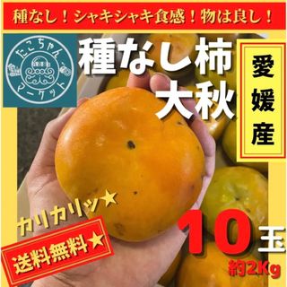 お得用【種なしシャキシャキ！糖度14！】愛媛県産　柿　大秋　10玉　約2.5Kg(フルーツ)