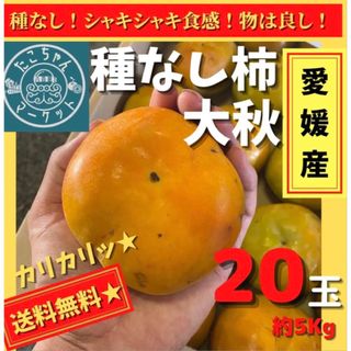 お得用【種なしシャキシャキ！糖度14！】愛媛県産　柿　大秋　20玉　約5Kg(フルーツ)